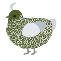 A olive and mist chicken with a double-lace pattern