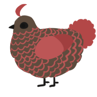 A bark and red chicken with a lace pattern