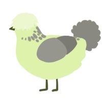 A apple and ash chicken with a neck-speckle pattern