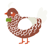 A russet and white chicken with a lace pattern