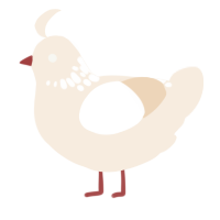 A cream chicken with a neck-speckle pattern