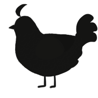 A black chicken with a double-lace pattern