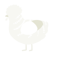 A white chicken with a half-bar pattern