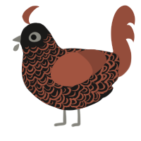 A sable and russet chicken with a double-lace pattern