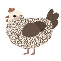 A cream and bark chicken with a double-lace pattern