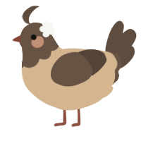 A beige and bark chicken with a head pattern