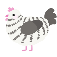 A white and grey chicken with a bar pattern