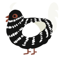 A black and white chicken with a bar pattern