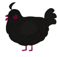 A black and sable chicken with a lace pattern