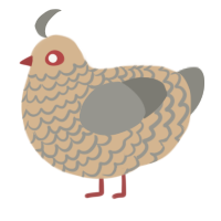 A beige and ash chicken with a lace pattern