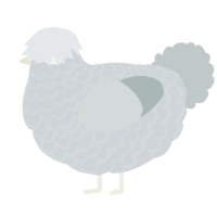 A mist and silver chicken with a lace pattern
