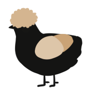A black and beige chicken