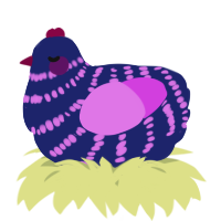 A navy and orchid chicken with a bar pattern