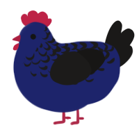 A navy and sable chicken with a half-lace pattern