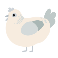A cream and silver chicken with a neck-band pattern