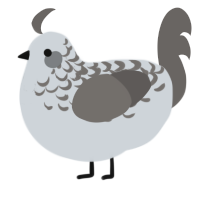 A mist and grey chicken with a half-lace pattern