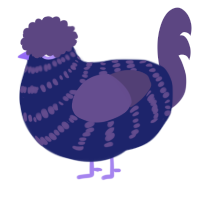 A navy and overcast chicken with a bar pattern