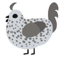 A mist and grey chicken with a speckle pattern