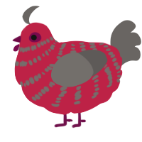 A crimson and grey chicken with a bar pattern