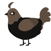 A black and bark chicken with a head pattern