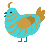 Turquoise, a aqua and gold chicken with a bar pattern