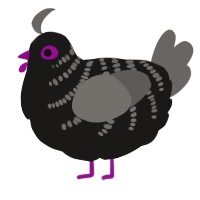 A sable and grey chicken with a half-bar pattern