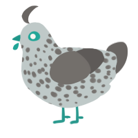 A silver and grey chicken with a speckle pattern