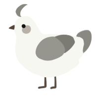 A white and ash chicken