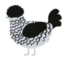 A mist and black chicken with a lace pattern