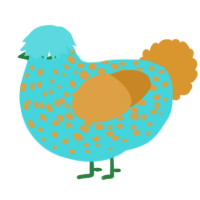 A aqua and orange chicken with a speckle pattern