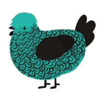 A turquoise and sable chicken with a double-lace pattern