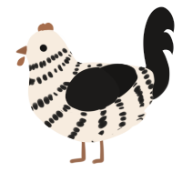 A cream and sable chicken with a bar pattern