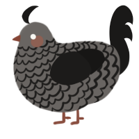 A grey and sable chicken with a lace pattern
