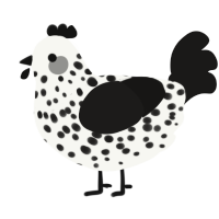 A white and sable chicken with a speckle pattern
