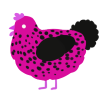 A fuchsia and black chicken with a speckle pattern