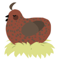 A russet and bark chicken with a speckle pattern