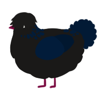 A sable and tumblr chicken with a neck-speckle pattern