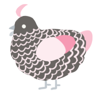 A grey and rose chicken with a lace pattern