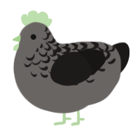 A grey and sable chicken with a half-lace pattern