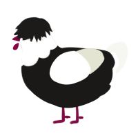 Penguin, a sable and white chicken with a head pattern