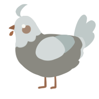 A ash and silver chicken with a head pattern