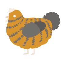 A orange and grey chicken with a bar pattern