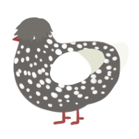 dislike of milk, a grey and white chicken with a speckle pattern