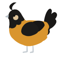 A orange and sable chicken with a head pattern