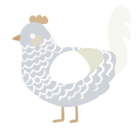 A mist and white chicken with a lace pattern