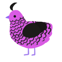 A orchid and sable chicken with a lace pattern