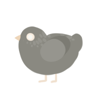 Granite, a ash chicken with a neck-speckle pattern