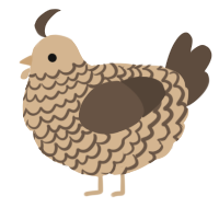 A beige and bark chicken with a lace pattern