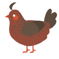 A russet and bark chicken with a half-lace pattern
