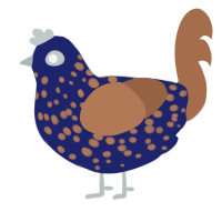 A navy and brown chicken with a speckle pattern